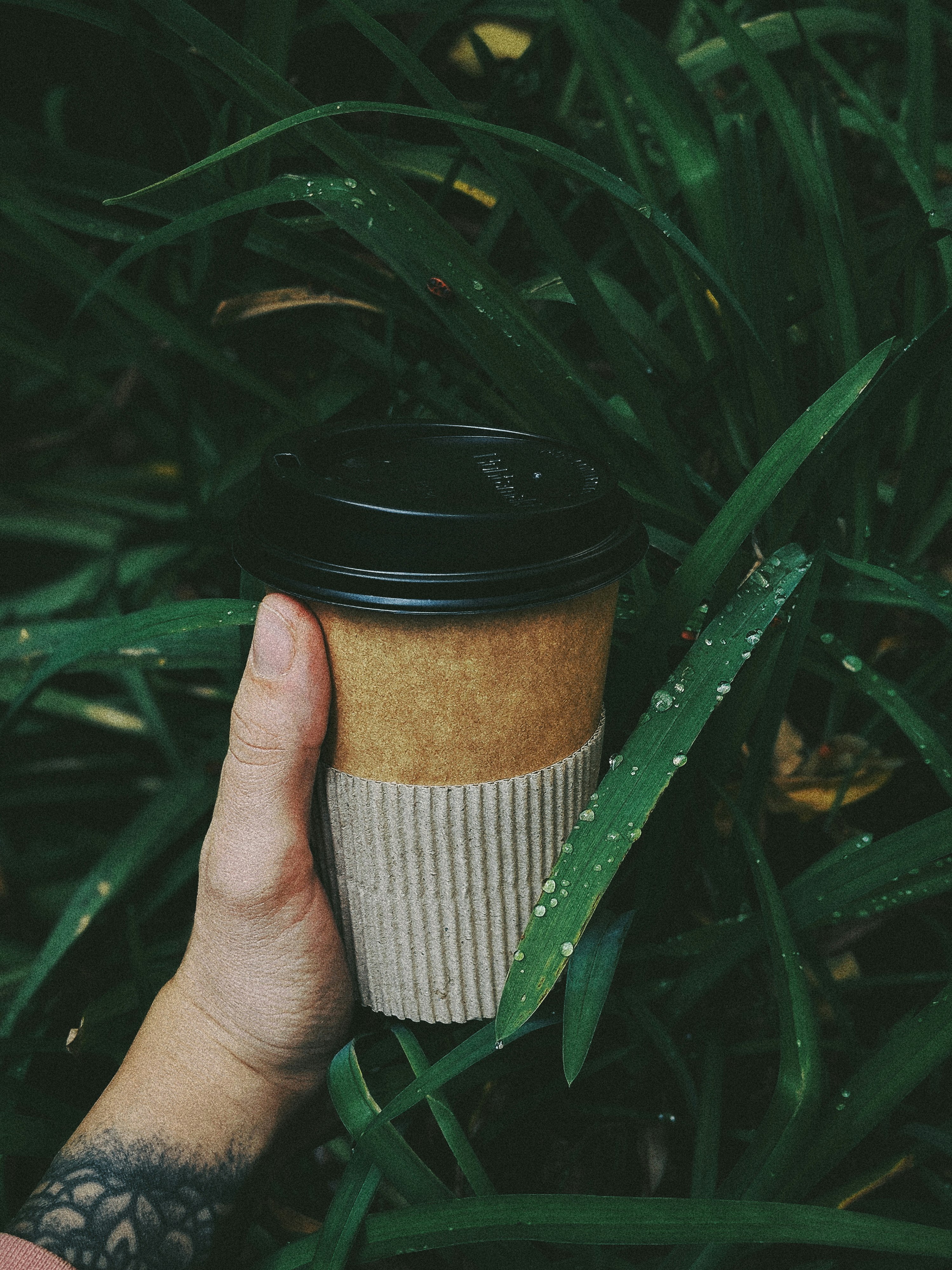 brown disposable cup